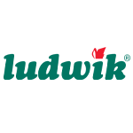 Ludwik Armenia