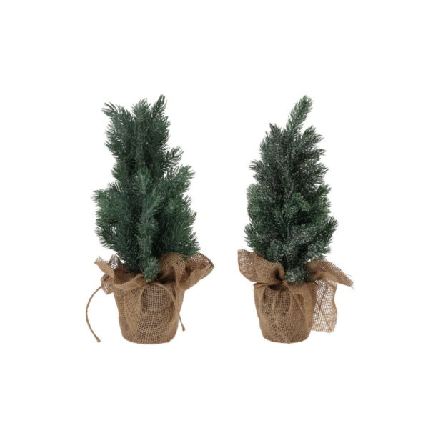 Դեկորատիվ եղևնի(45սմ)